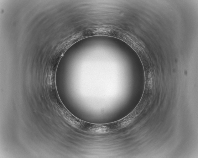 X0000086960514200704231454