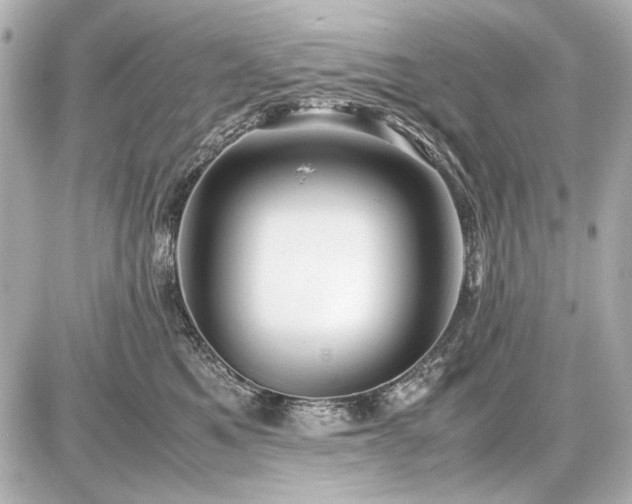 X0000086960521200704231454