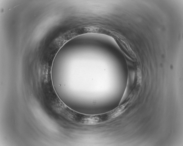 X0000086960525200704231454