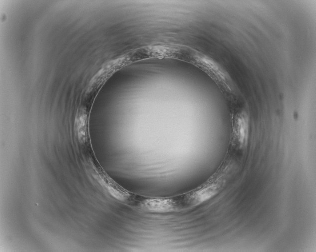 X0000086960526200704231453