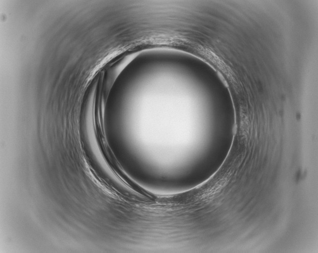 X0000086960530200704231453
