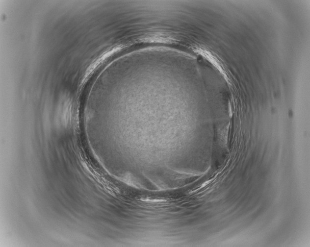 X0000086960531200704231453