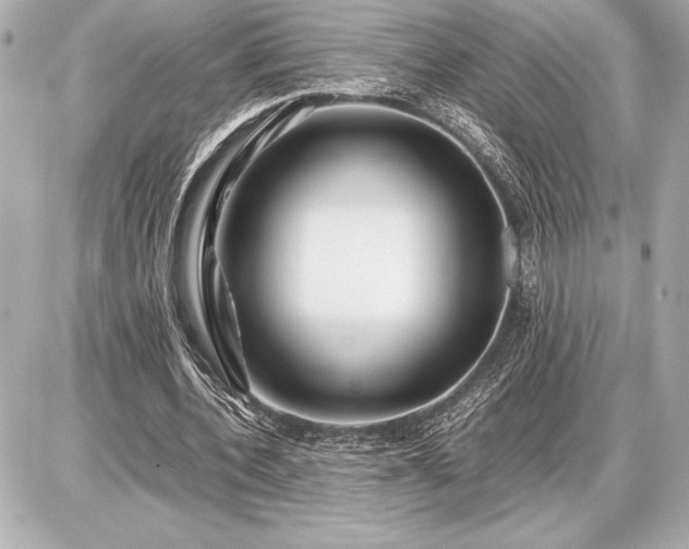 X0000086960532200704231453