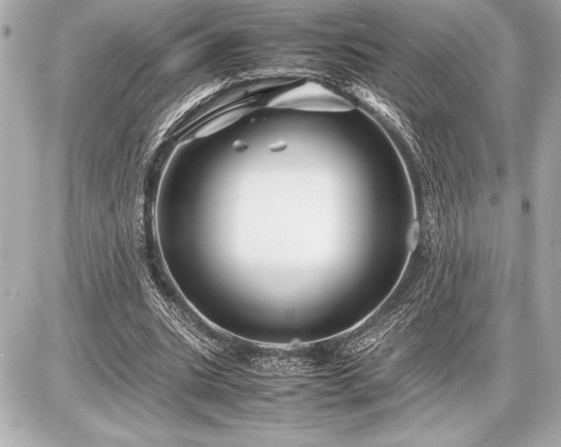 X0000086960535200704231453