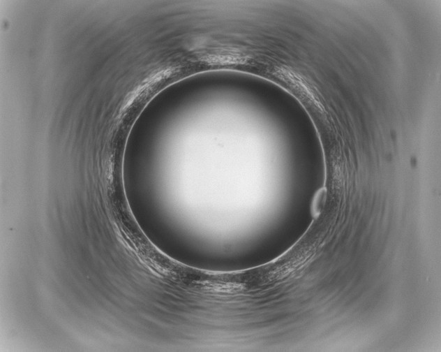 X0000086960539200704231453