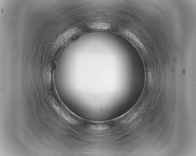 X0000086960541200704231453