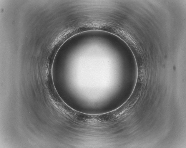 X0000086960544200704231453