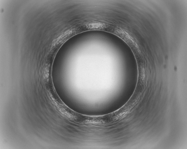 X0000086960545200704231453