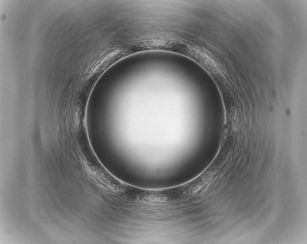 X0000086960546200704231453