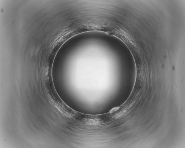 X0000086960548200704231453