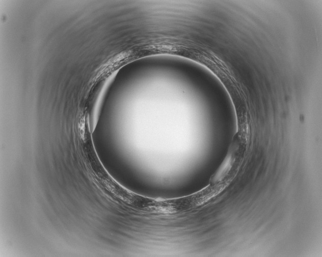 X0000086960552200704231453