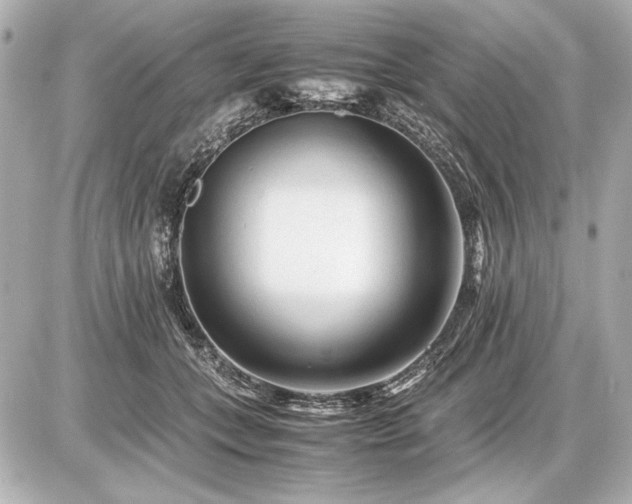 X0000086960559200704231453
