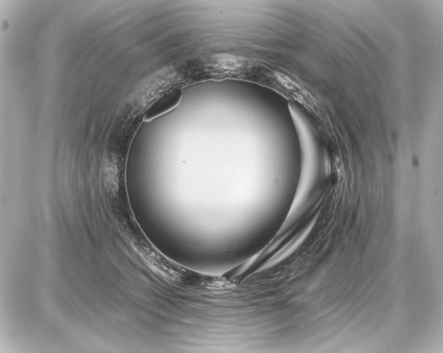 X0000086960562200704231453