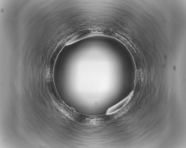 X0000086960564200704231453