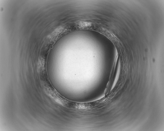 X0000086960565200704231453