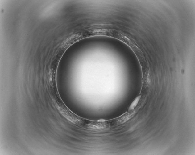 X0000086960567200704231453
