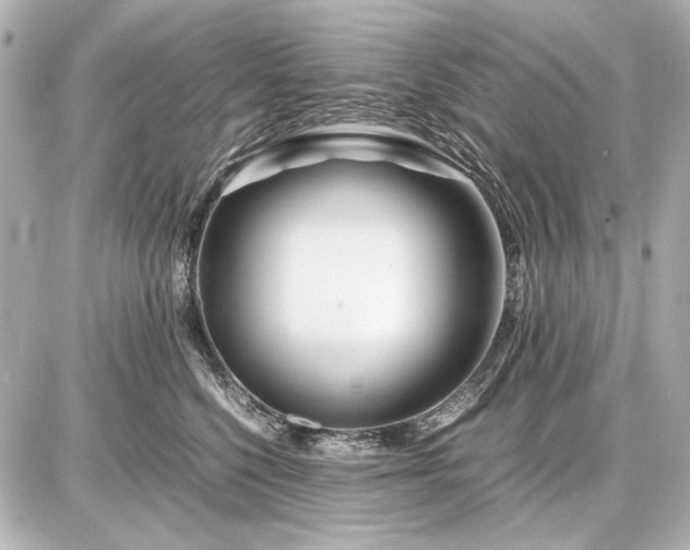 X0000086960568200704231453