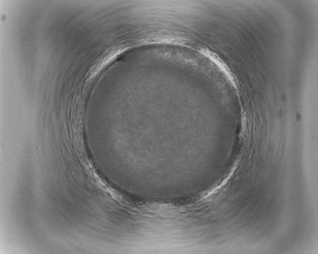 X0000086960577200704231453