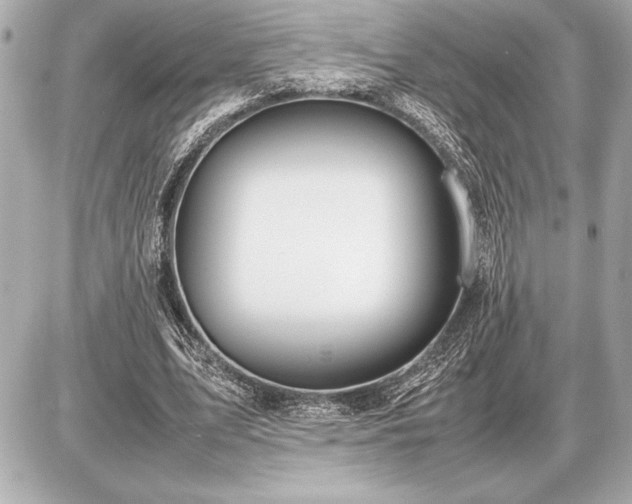 X0000086960583200704231453