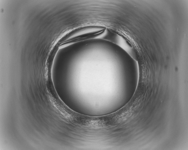 X0000086960584200704231453