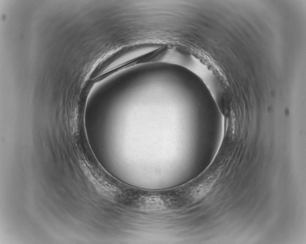 X0000086960588200704231452