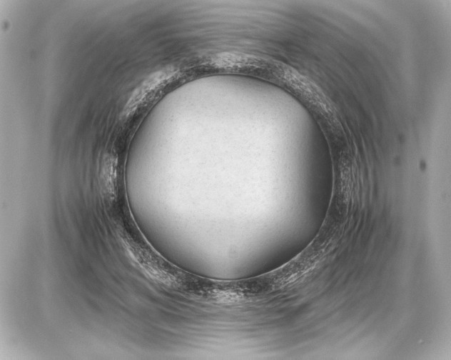 X0000086960592200704231452
