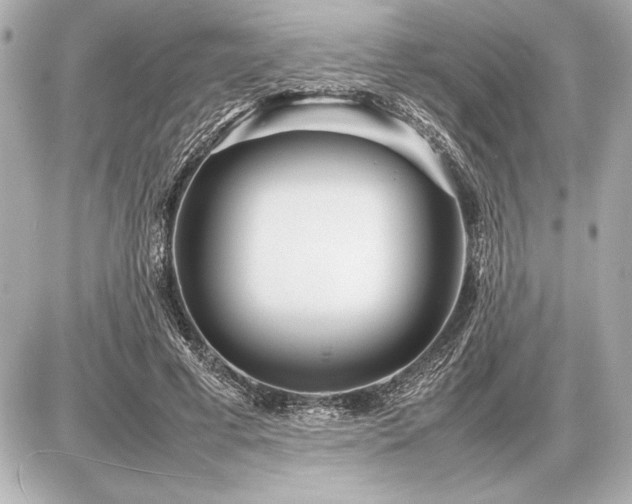 X0000086960593200704231452