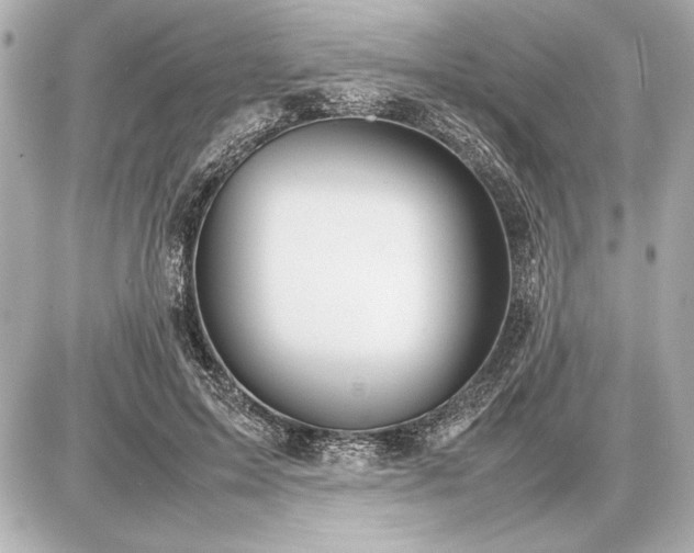 X0000086960599200704231452