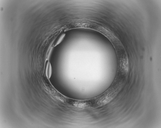 X0000086960602200704231452