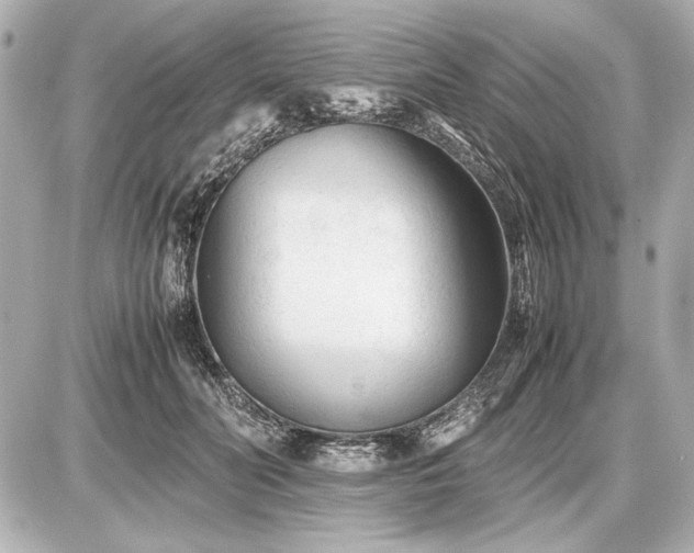 X0000086960606200704231452