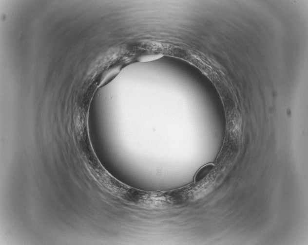 X0000086960607200704231452