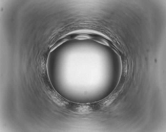 X0000086960609200704231452