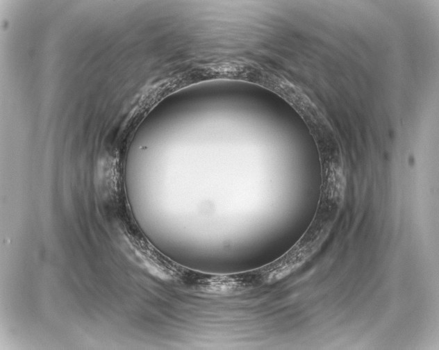 X0000086960612200704231452