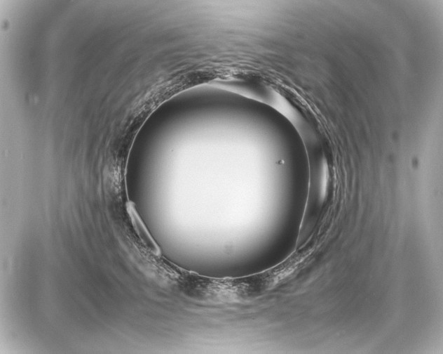 X0000086960613200704231452