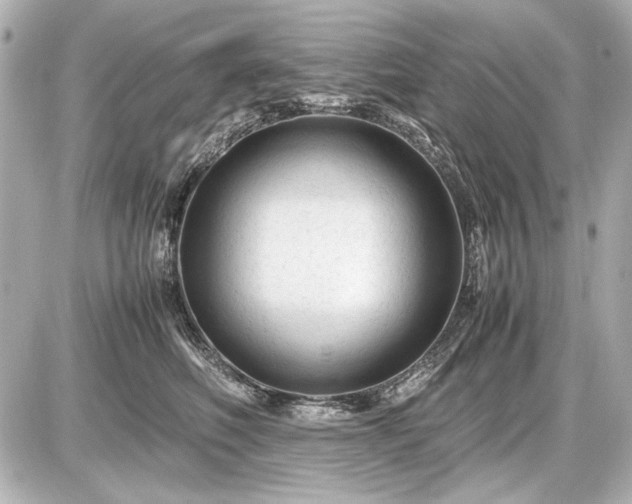 X0000086960614200704231452