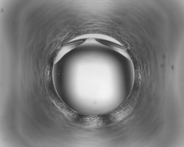 X0000086960615200704231452