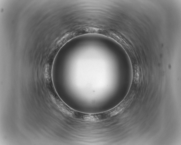 X0000086960616200704231452