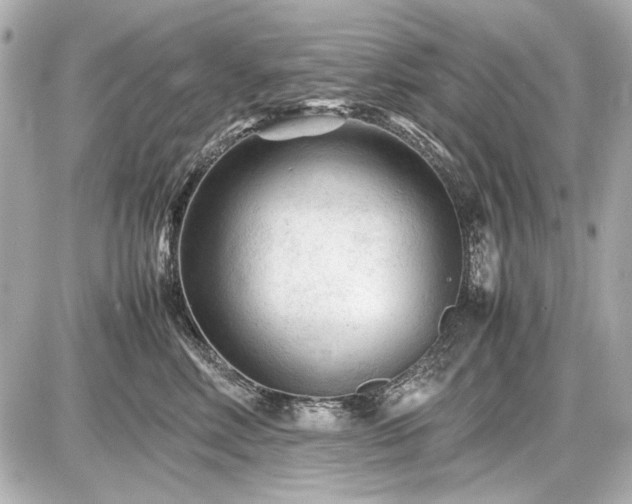 X0000086960618200704231452