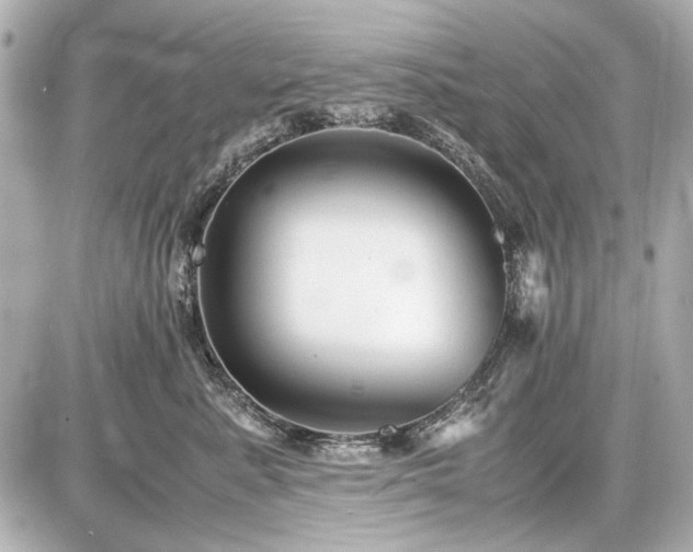 X0000086960619200704231452