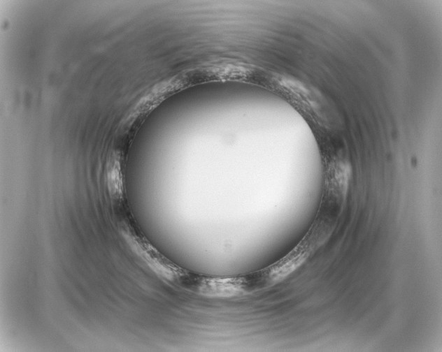 X0000086960622200704231452