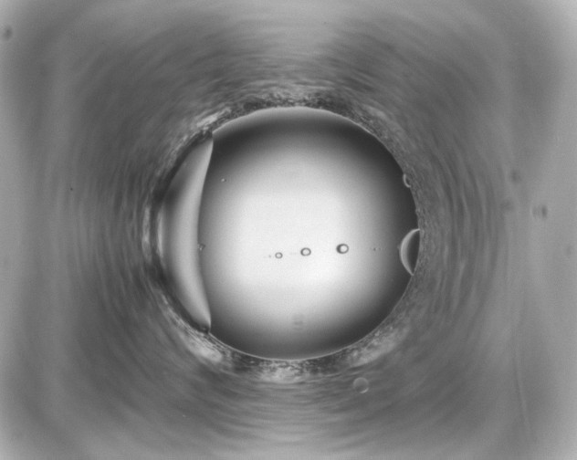 X0000086960624200704231452