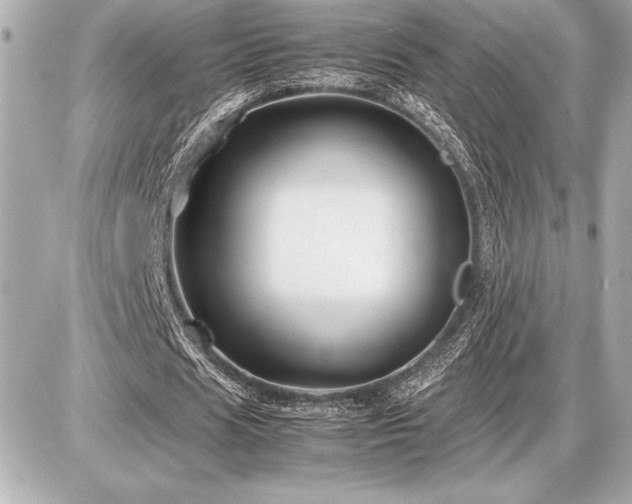 X0000086960625200704231451