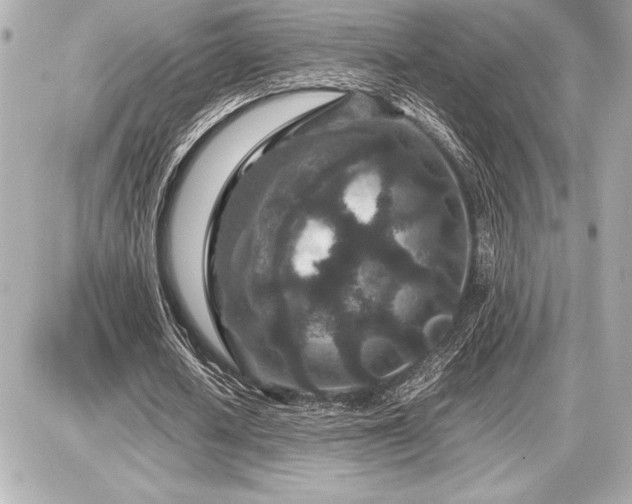 X0000086960626200704231451