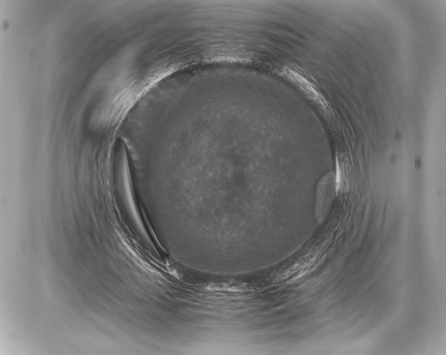 X0000086960627200704231451