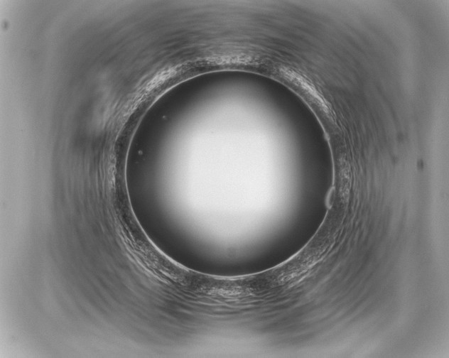 X0000086960631200704231451