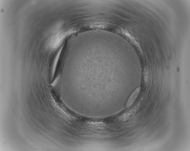 X0000086960637200704231451