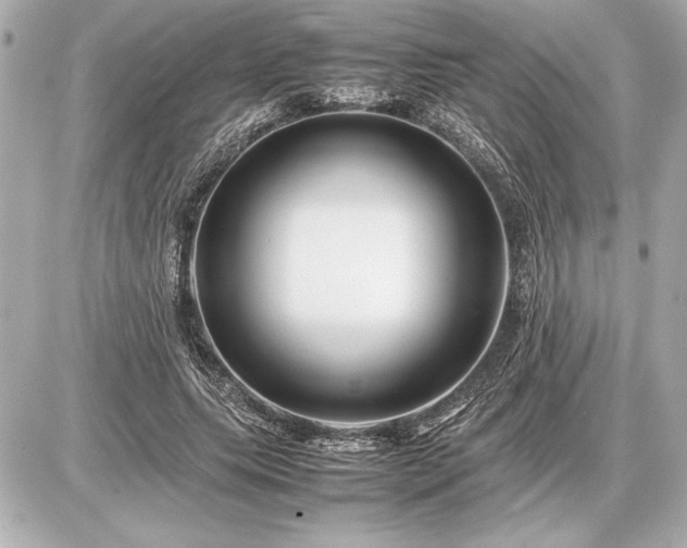 X0000086960639200704231451