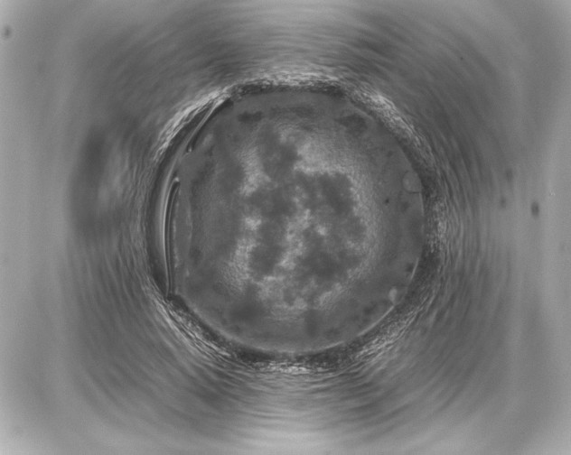 X0000086960640200704231451