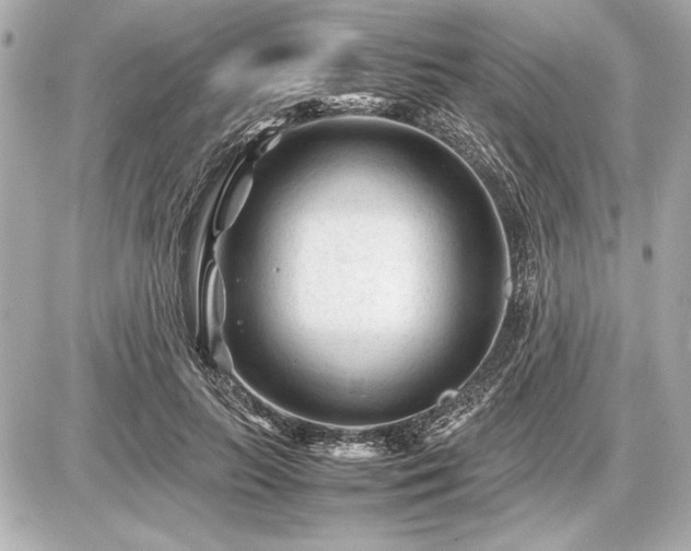 X0000086960647200704231451