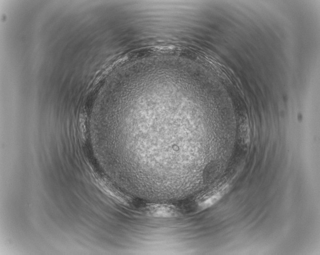 X0000086960654200704231452